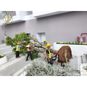 Hình Ảnh Thực Tế Dự Án Khải Vy Quận 7