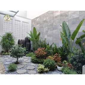 Hình Ảnh Thi Công Cây Công Trình Biệt Thự Trảng Bom