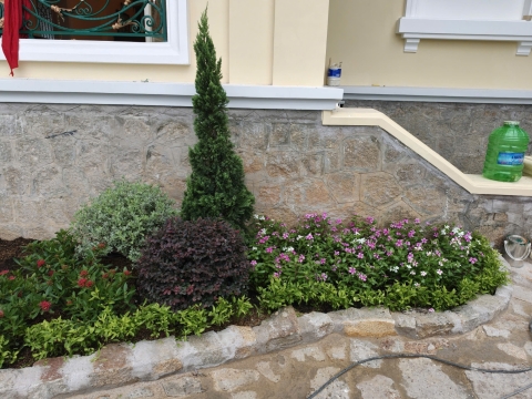 Hình ảnh Dinh Bảo Đại Long Hải mới nhất