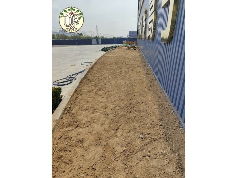 Hình ảnh thực tế dự án Nhà máy Jinyu Tire Việt Nam - Tây Ninh