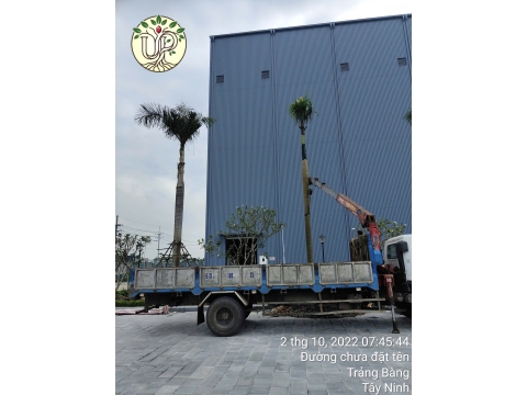 Hình ảnh thực tế dự án Nhà máy Jinyu Tire Việt Nam - Tây Ninh