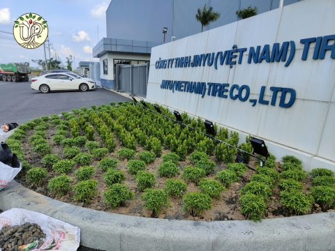 Hình ảnh thực tế dự án Nhà máy Jinyu Tire Việt Nam - Tây Ninh
