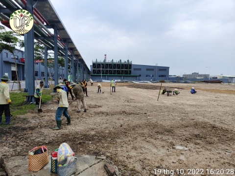 Hình ảnh thực tế dự án Nhà máy Jinyu Tire Việt Nam - Tây Ninh