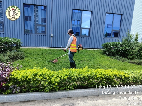 Hình ảnh thực tế dự án Nhà máy Jinyu Tire Việt Nam - Tây Ninh
