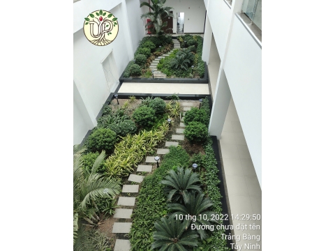Hình ảnh thực tế dự án Nhà máy Jinyu Tire Việt Nam - Tây Ninh