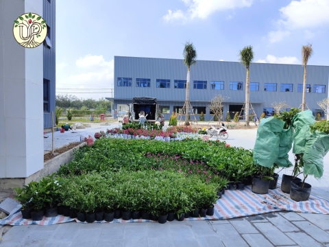 Hình ảnh thực tế dự án Nhà máy Jinyu Tire Việt Nam - Tây Ninh