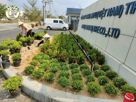 Hình ảnh thực tế dự án Nhà máy Jinyu Tire Việt Nam - Tây Ninh