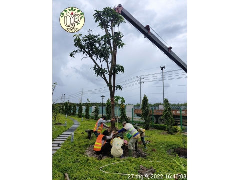 Hình ảnh thực tế dự án Nhà máy Jinyu Tire Việt Nam - Tây Ninh