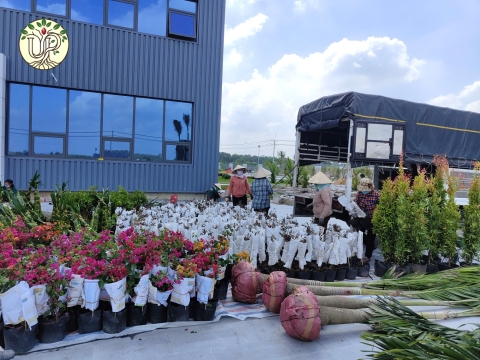 Hình ảnh thực tế dự án Nhà máy Jinyu Tire Việt Nam - Tây Ninh