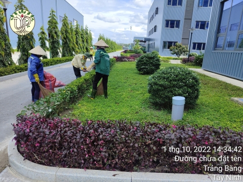 Hình ảnh thực tế dự án Nhà máy Jinyu Tire Việt Nam - Tây Ninh