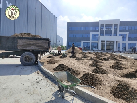 Hình ảnh thực tế dự án Nhà máy Jinyu Tire Việt Nam - Tây Ninh