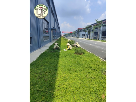 Hình ảnh thực tế dự án Nhà máy Jinyu Tire Việt Nam - Tây Ninh