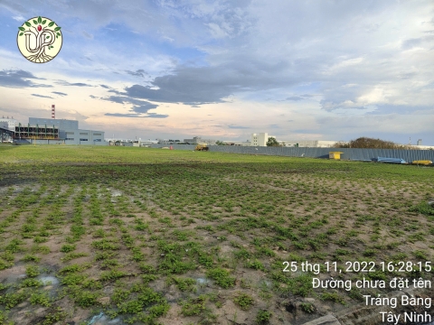 Hình ảnh thực tế dự án Nhà máy Jinyu Tire Việt Nam - Tây Ninh