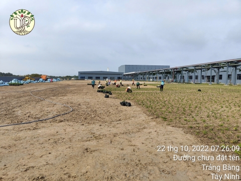 Hình ảnh thực tế dự án Nhà máy Jinyu Tire Việt Nam - Tây Ninh
