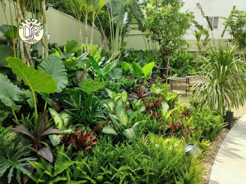 Hình Ảnh Thực Tế Dự Án Lotte Sài Gòn