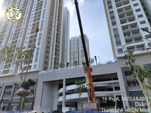 Hình Ảnh Thực Tế Dự Án Khải Vy Quận 7