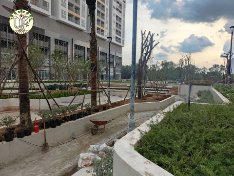 Hình Ảnh Thực Tế Dự Án Khải Vy Quận 7