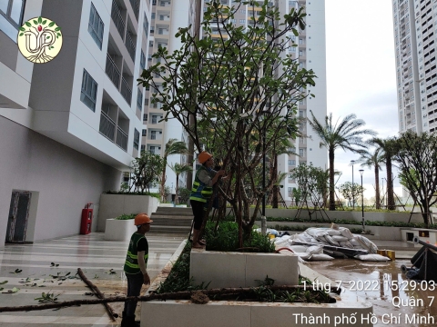 Hình Ảnh Thực Tế Dự Án Khải Vy Quận 7