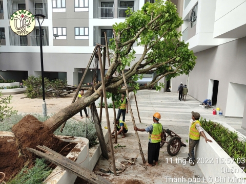 Hình Ảnh Thực Tế Dự Án Khải Vy Quận 7