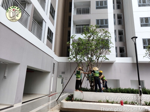 Hình Ảnh Thực Tế Dự Án Khải Vy Quận 7