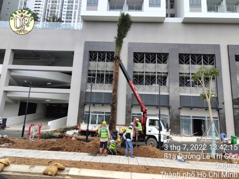 Hình Ảnh Thực Tế Dự Án Khải Vy Quận 7