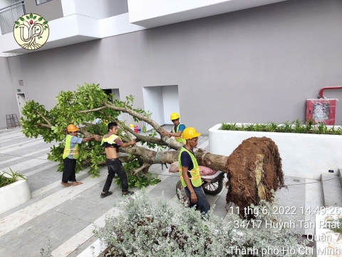 Hình Ảnh Thực Tế Dự Án Khải Vy Quận 7