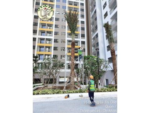 Hình Ảnh Thực Tế Dự Án Khải Vy Quận 7