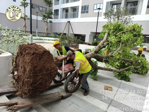 Hình Ảnh Thực Tế Dự Án Khải Vy Quận 7