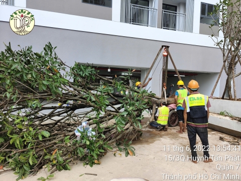 Hình Ảnh Thực Tế Dự Án Khải Vy Quận 7