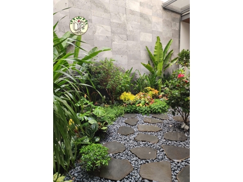 Hình Ảnh Thi Công Cây Công Trình Biệt Thự Trảng Bom