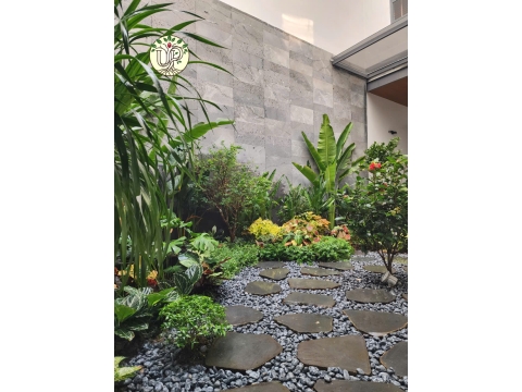 Hình Ảnh Thi Công Cây Công Trình Biệt Thự Trảng Bom