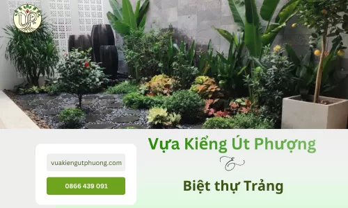 Biệt thự Trảng Bom được kiến tạo cảnh quan xanh lý tưởng
