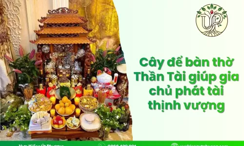 Cây để bàn thờ Thần Tài giúp gia chủ phát tài thịnh vượng