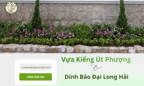 Dinh Bảo Đại Long Hải và nghệ thuật kiến tạo cảnh quan xanh