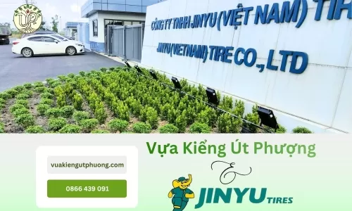 Dự Án Thi Công Cảnh Quan Nhà Máy Jinyu Tire Tây Ninh | Vựa Kiểng Út Phượng