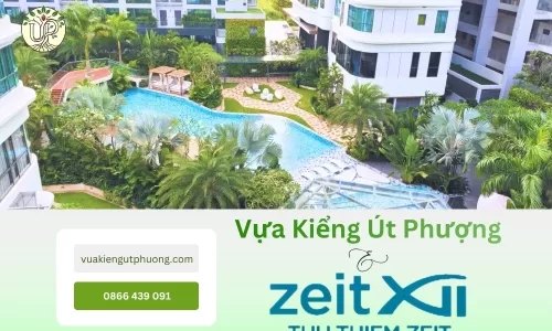 Dự Án Thi Công Cảnh Quan Căn Hộ Cao Cấp Tại Zeit Thủ Thiêm