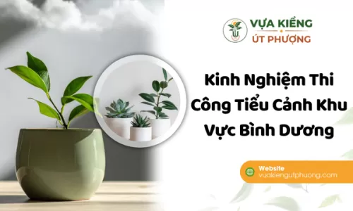 Kinh Nghiệm Thi Công Tiểu Cảnh Khu Vực Bình Dương