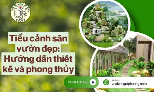 Tiểu cảnh sân vườn đẹp: Hướng dẫn thiết kế và phong thủy