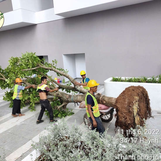 Hình Ảnh Thực Tế Dự Án Khải Vy Quận 7