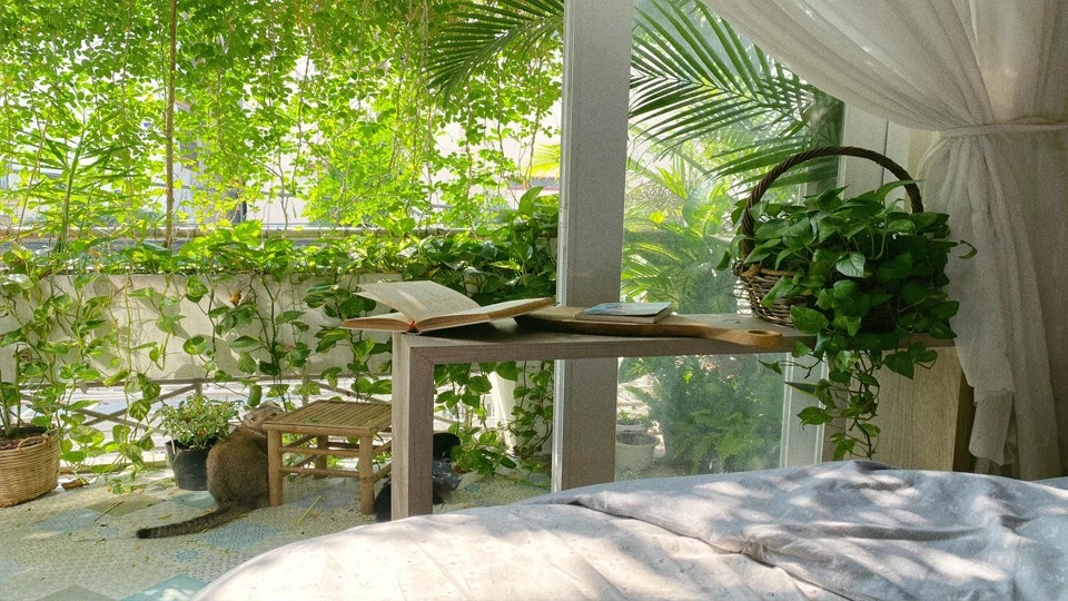 Tầm quan trọng của việc Decor cây xanh