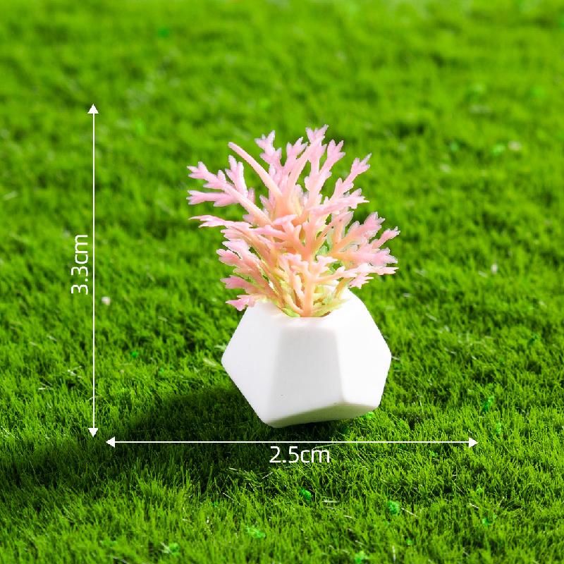 Lưu Ý Khi Lựa Chọn Trang Trí & Phụ Kiện Cho Cây Cảnh Văn Phòng