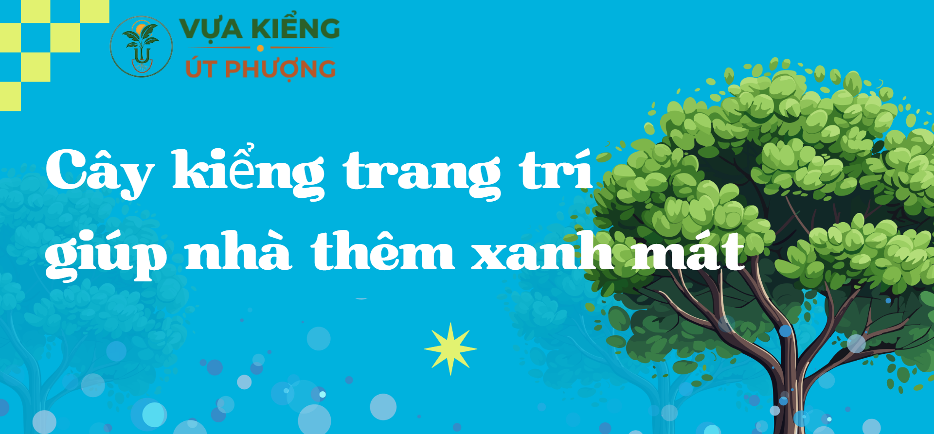 Cây kiểng trang trí giúp nhà thêm xanh mát