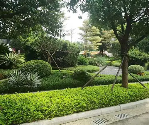 Các Mẫu Thi Công Tiểu Cảnh Khu Vực Bình Dương Đẹp