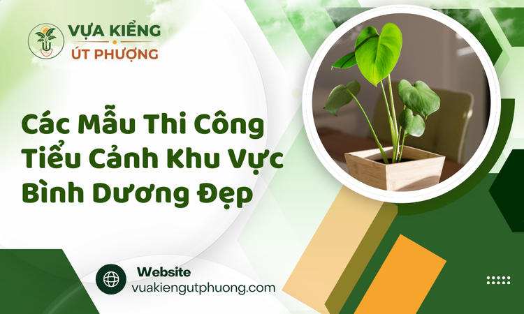 Tầm Quan Trọng Của Tiểu Cảnh Trong Không Gian Sống Hiện Đại