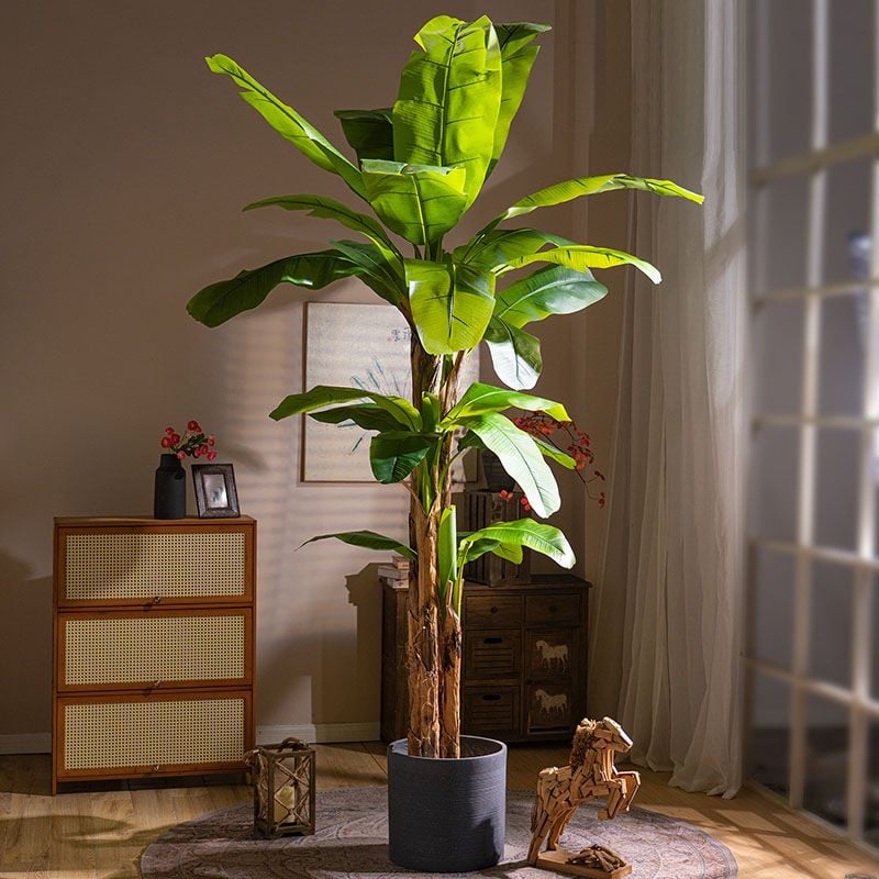 Cách Chọn Cây Kiểng Trang Trí Phù Hợp Nội Thất