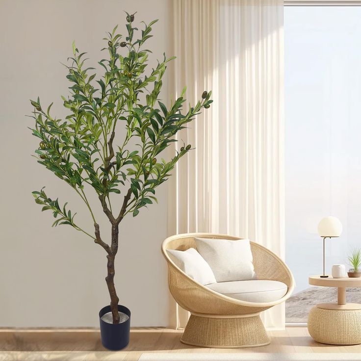 Cây Kiểng Trang Trí Giúp Không Gian Sống Thêm Sinh Động