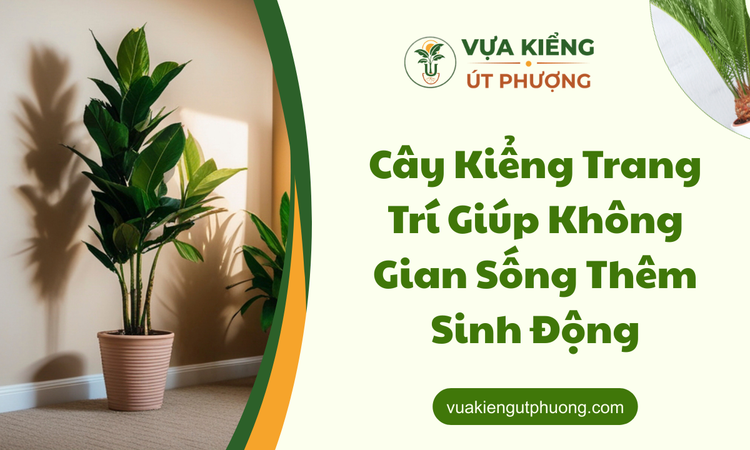 Sức Mạnh Kỳ Diệu Của Cây Kiểng Trang Trí