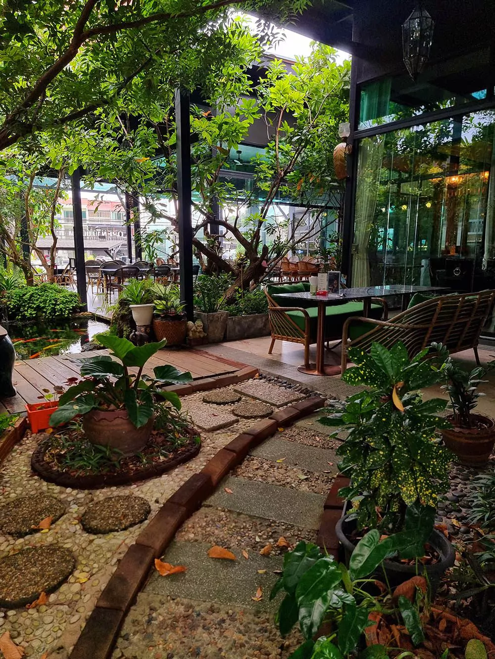 Cây Kiểng Trang Trí