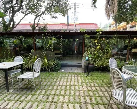 Cây Kiểng Trang Trí