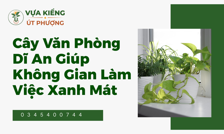 cay-van-phong-di-an-giup-khong-gian-lam-viec-xanh-mat